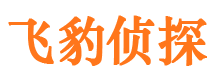 高明市侦探公司